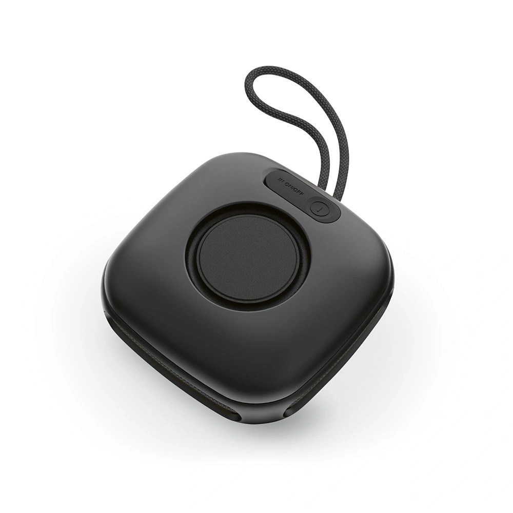 Da Vinci 2600 mAh-högtalare